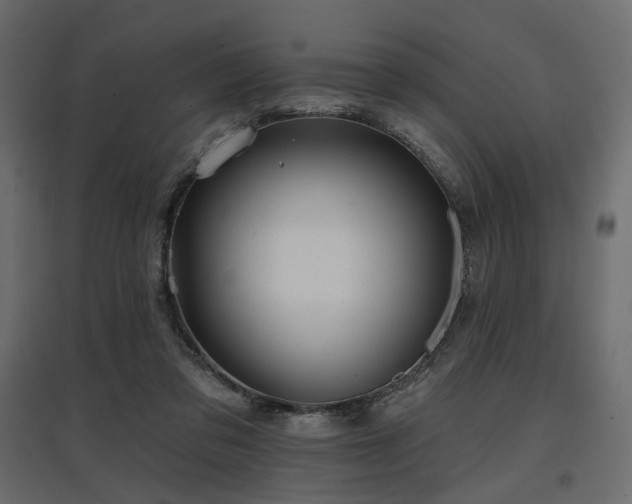 X0000097770309200803071323
