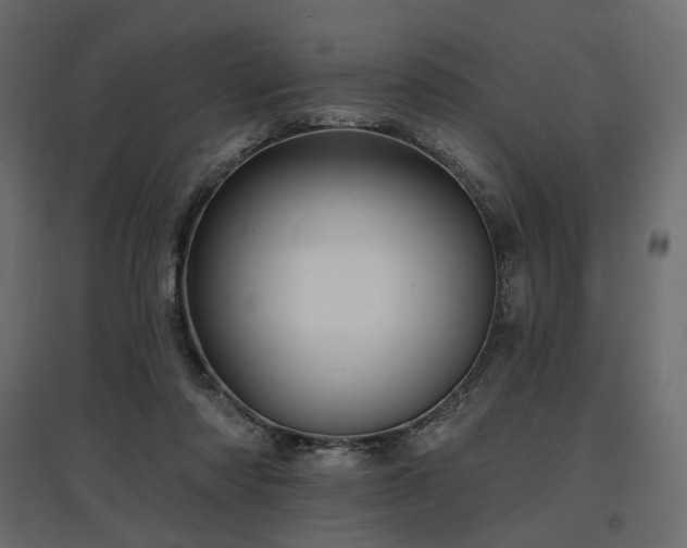 X0000097770310200803071323