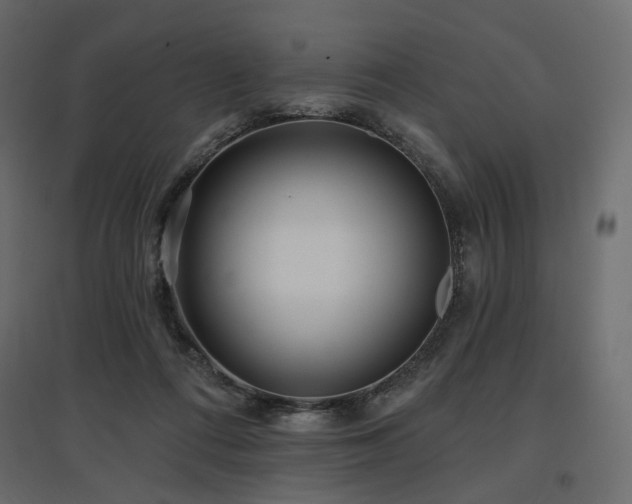 X0000097770312200803071323