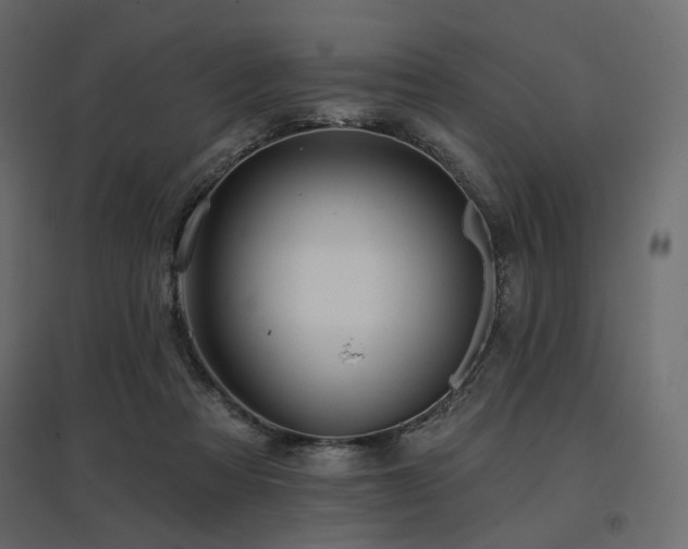 X0000097770313200803071323