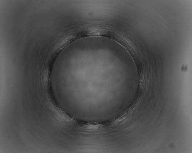 X0000097770314200803071323