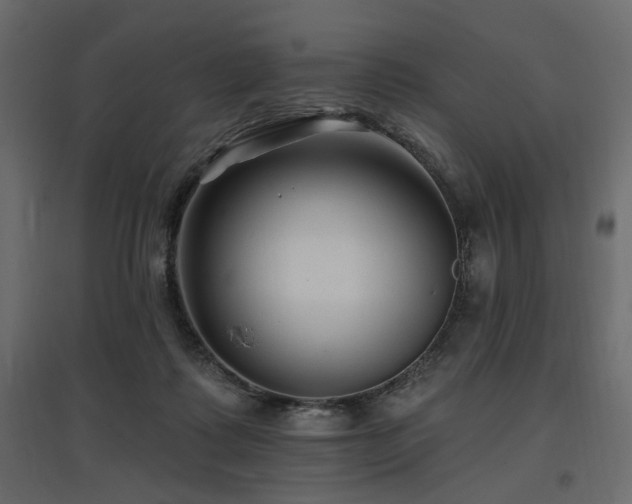 X0000097770315200803071323
