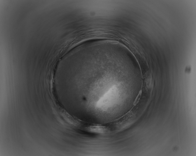 X0000097770316200803071323