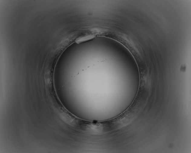 X0000097770317200803071323
