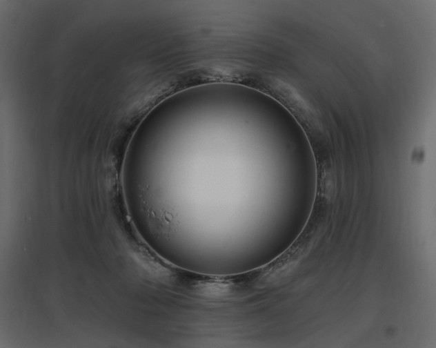 X0000097770318200803071323