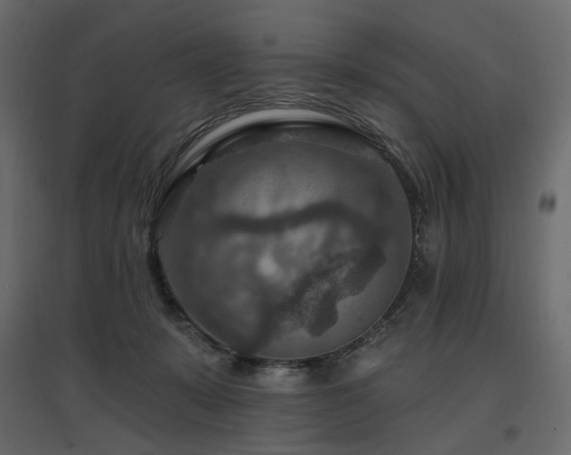X0000097770319200803071323