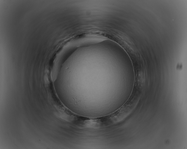 X0000097770320200803071323