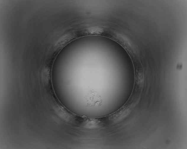 X0000097770321200803071323