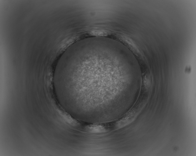X0000097770322200803071323