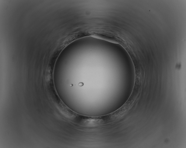 X0000097770323200803071323