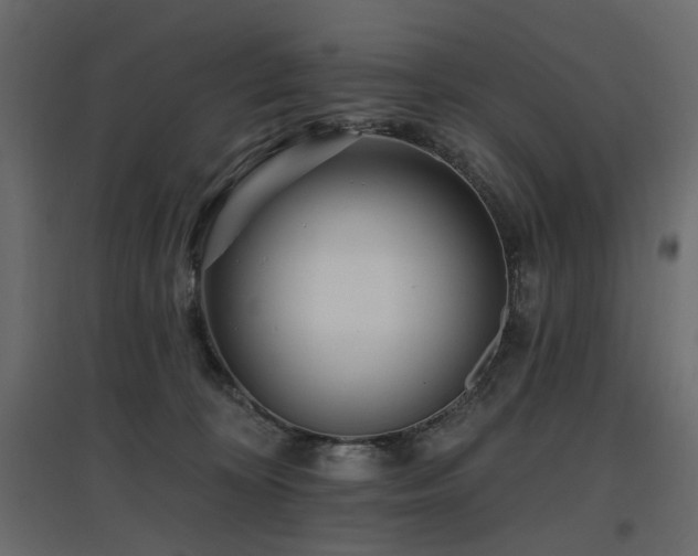 X0000097770324200803071323