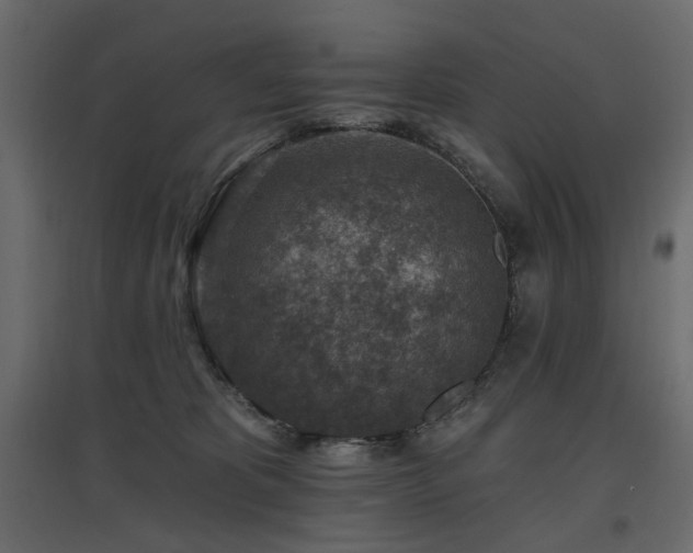 X0000097770325200803071323