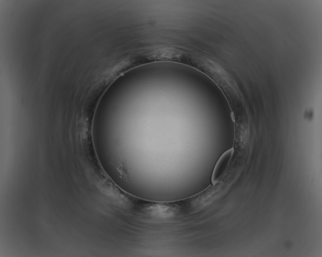X0000097770326200803071323