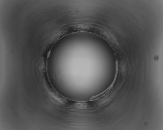 X0000097770328200803071323