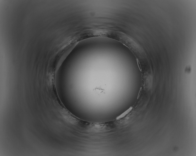 X0000097770329200803071323