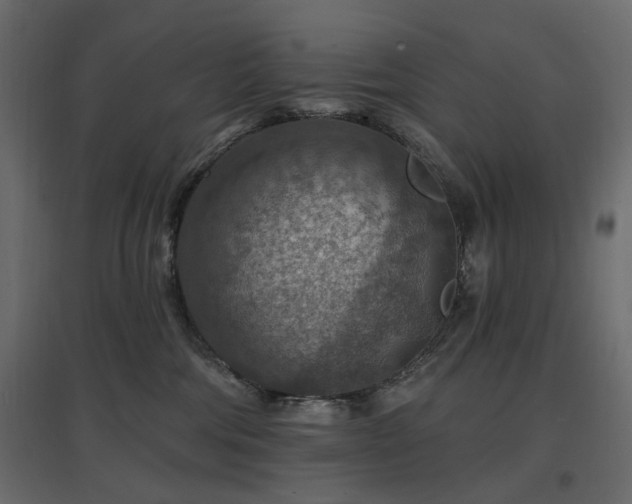 X0000097770330200803071323