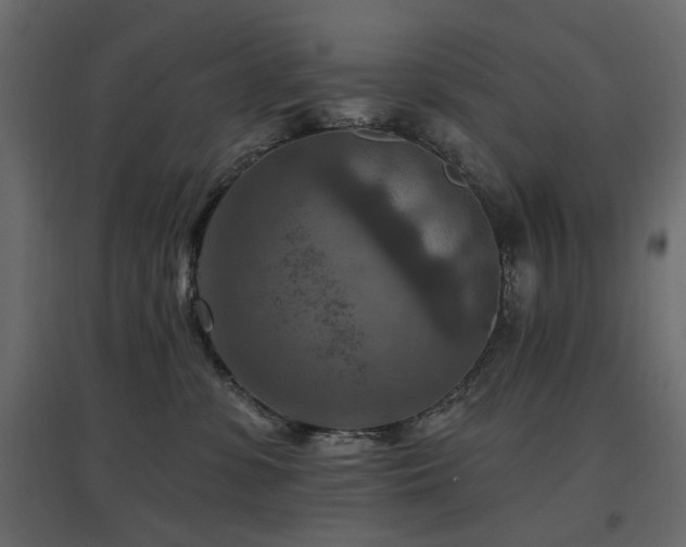 X0000097770331200803071323