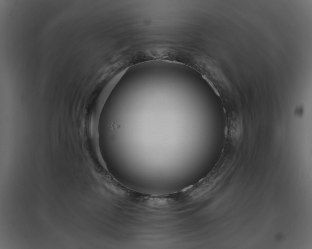 X0000097770332200803071323