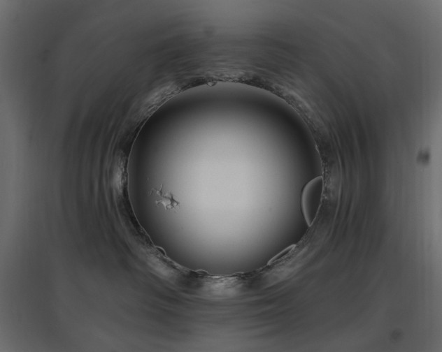 X0000097770334200803071323