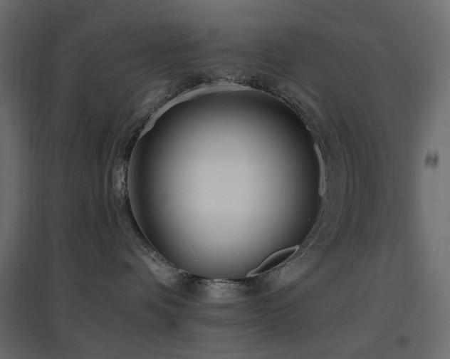 X0000097770336200803071323