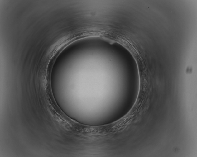 X0000097770338200803071322