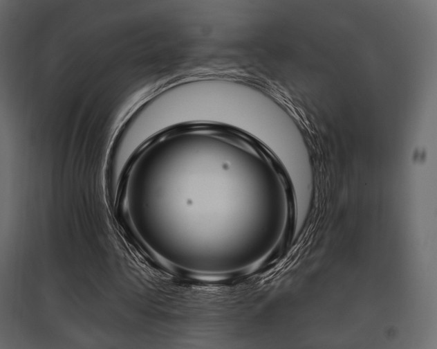 X0000097770340200803071322
