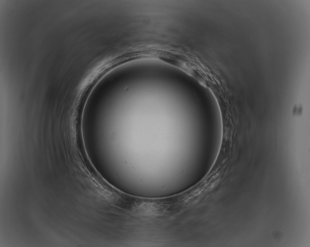 X0000097770341200803071322