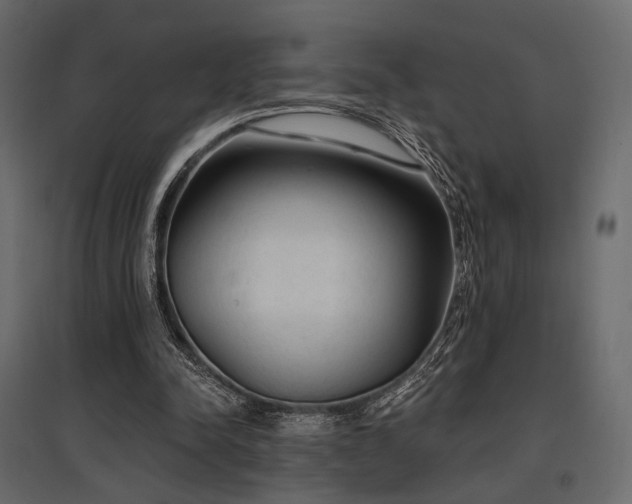 X0000097770342200803071322