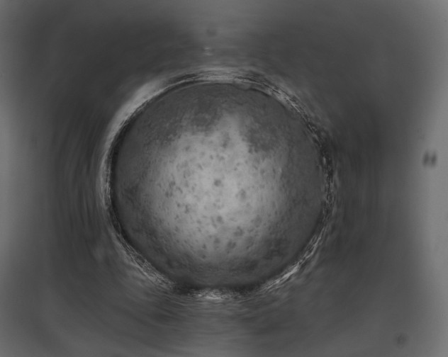 X0000097770343200803071322