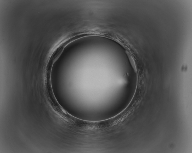 X0000097770344200803071322