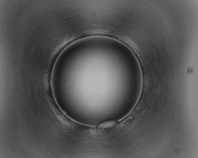 X0000097770345200803071322