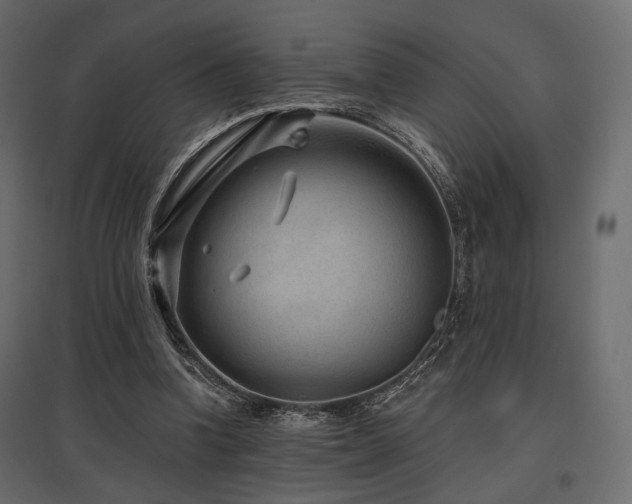 X0000097770346200803071322