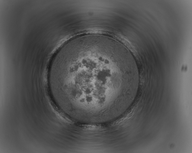 X0000097770347200803071322