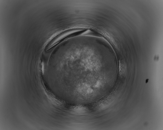 X0000097770348200803071322