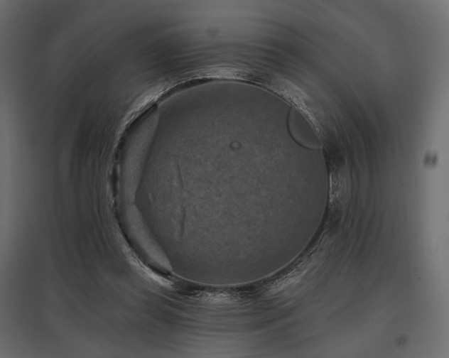 X0000097770349200803071322
