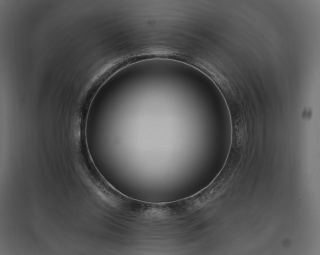 X0000097770350200803071322