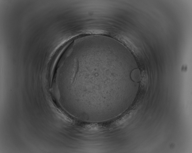 X0000097770351200803071322