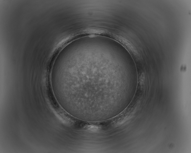 X0000097770352200803071322
