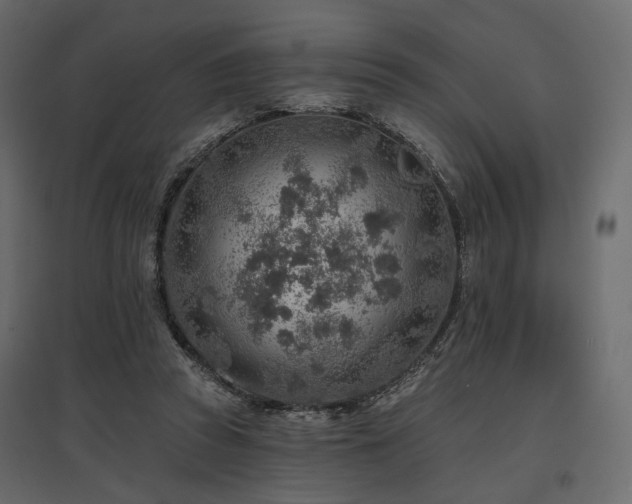 X0000097770353200803071322