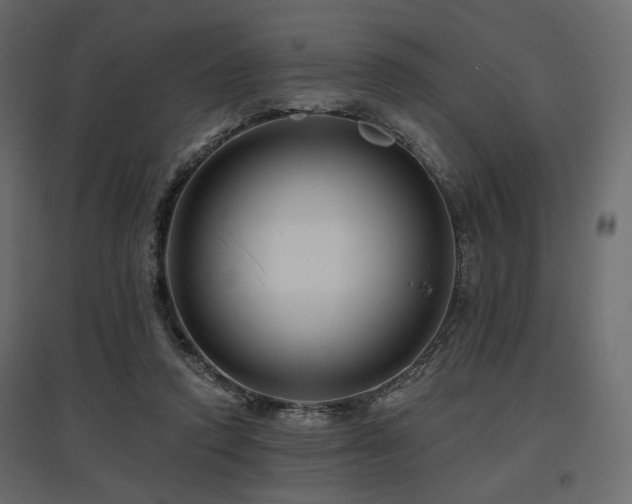 X0000097770354200803071323