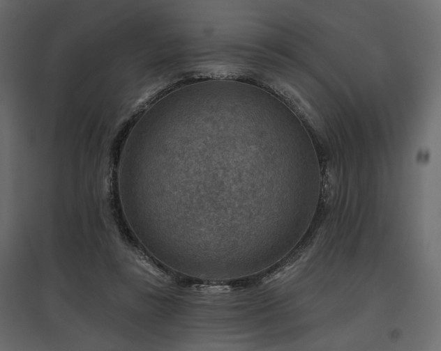X0000097770355200803071323