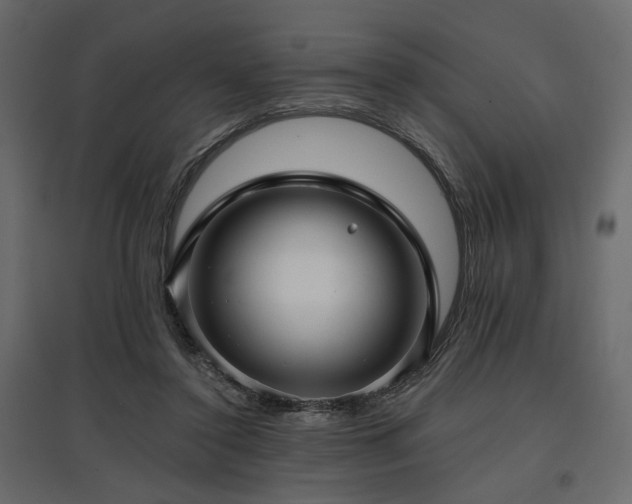 X0000097770356200803071323