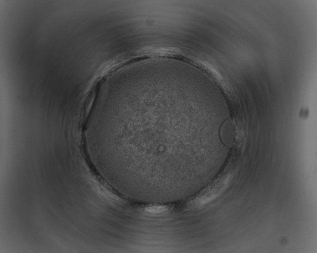 X0000097770357200803071323
