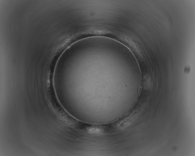 X0000097770358200803071323