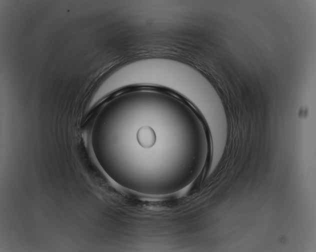 X0000097770360200803071323