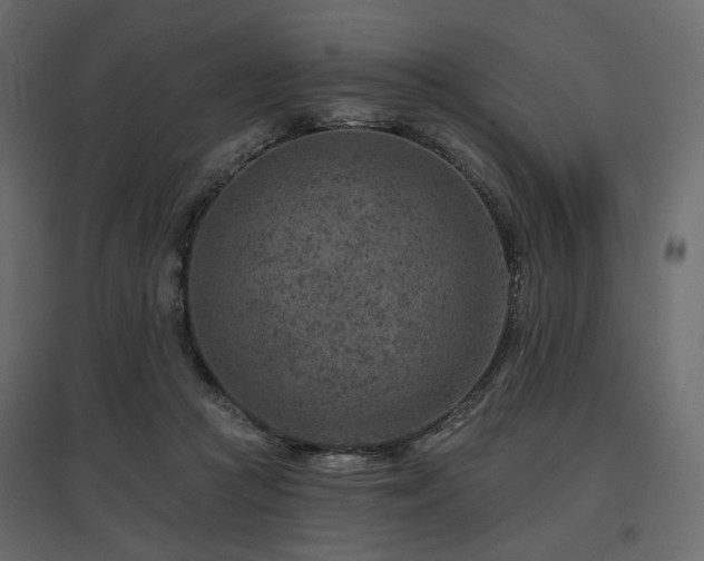 X0000097770361200803071323