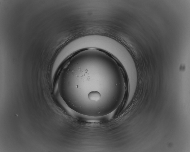 X0000097770362200803071323