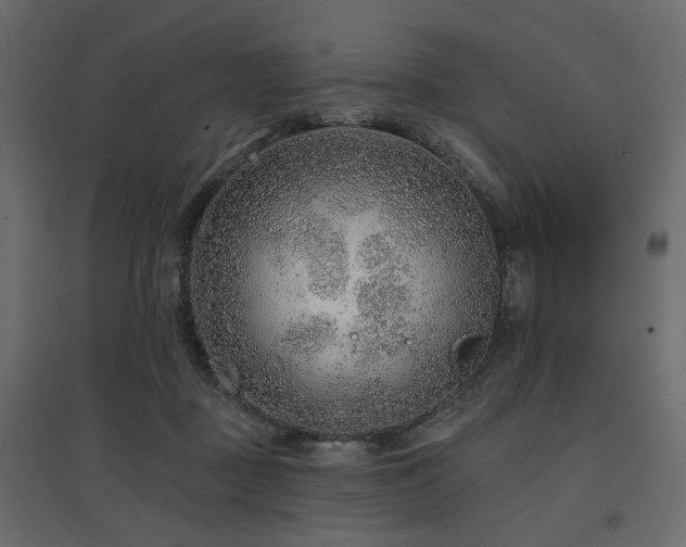 X0000097770363200803071323