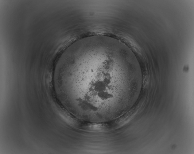 X0000097770365200803071323