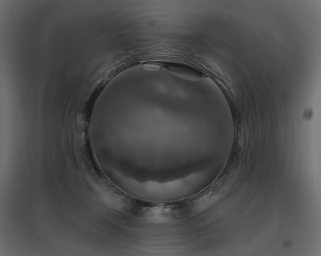 X0000097770366200803071323